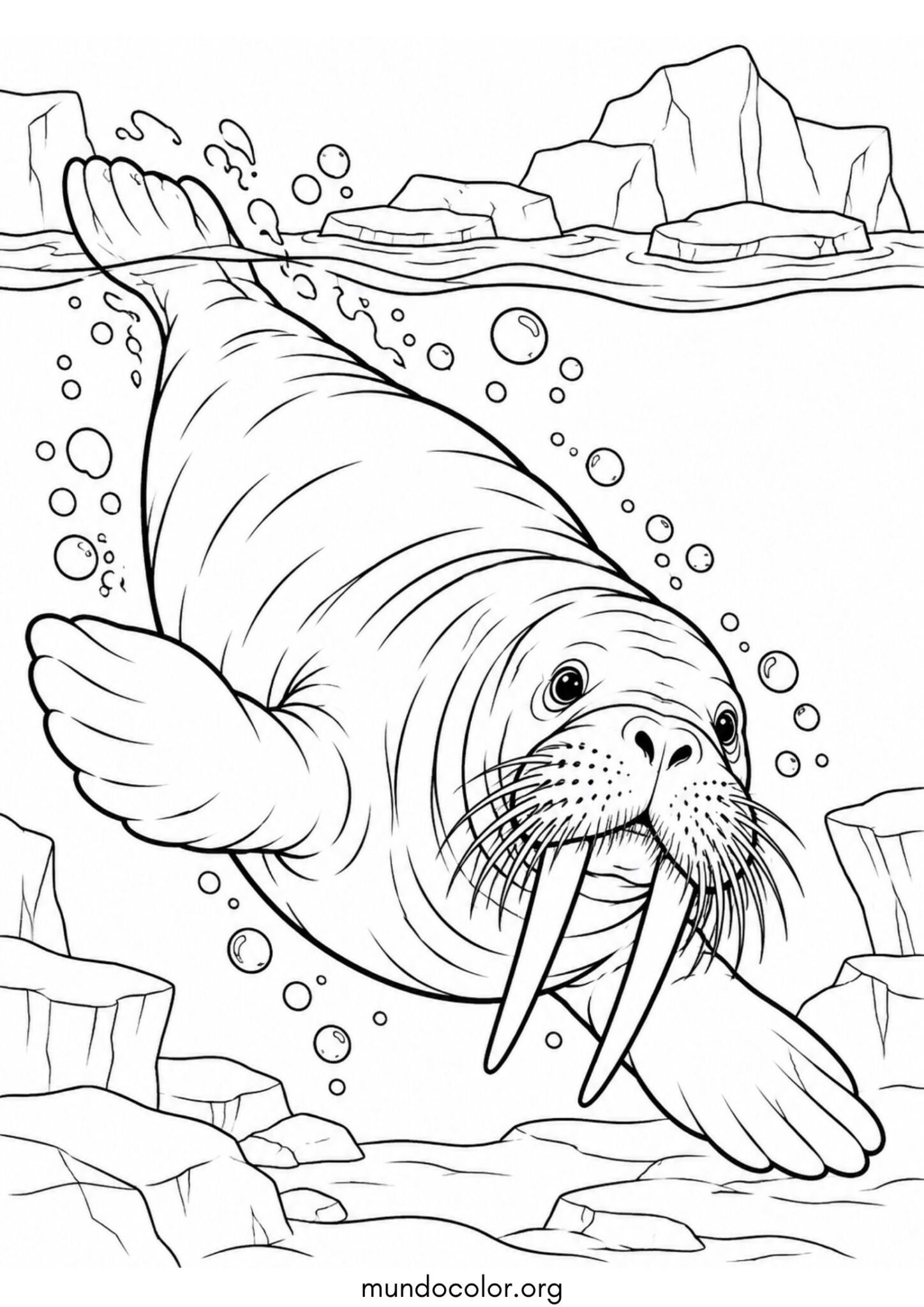 Dibujo de Morsa zambulléndose en el agua helada para imprimir Dibujo de Morsa zambulléndose en el agua helada para colorear