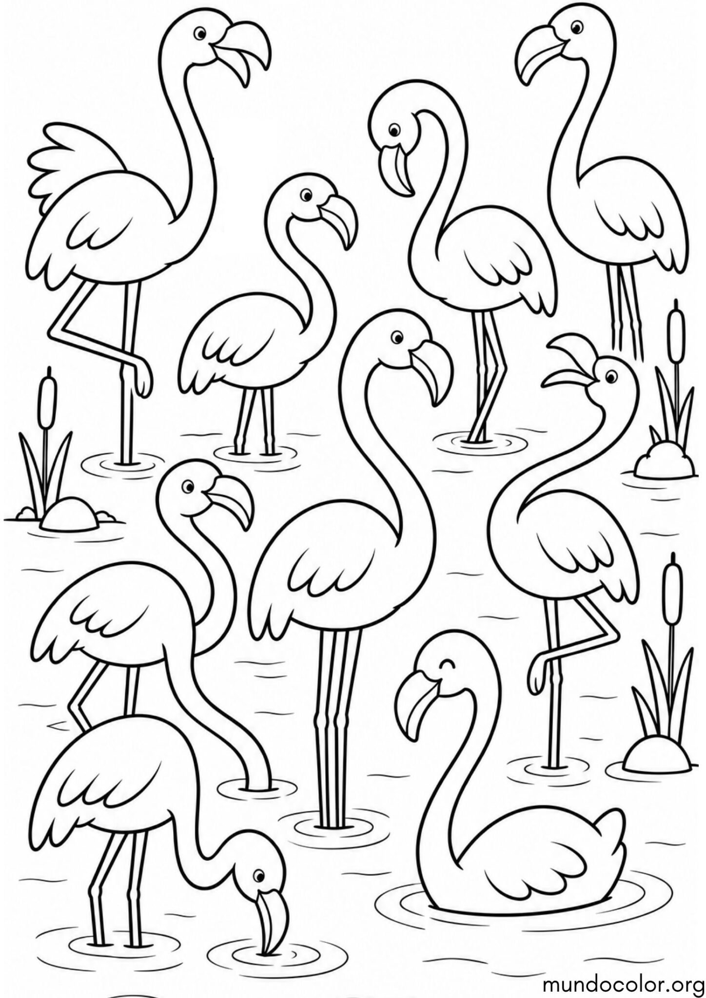 Dibujo de Muchos flamencos en el estanque para colorear
