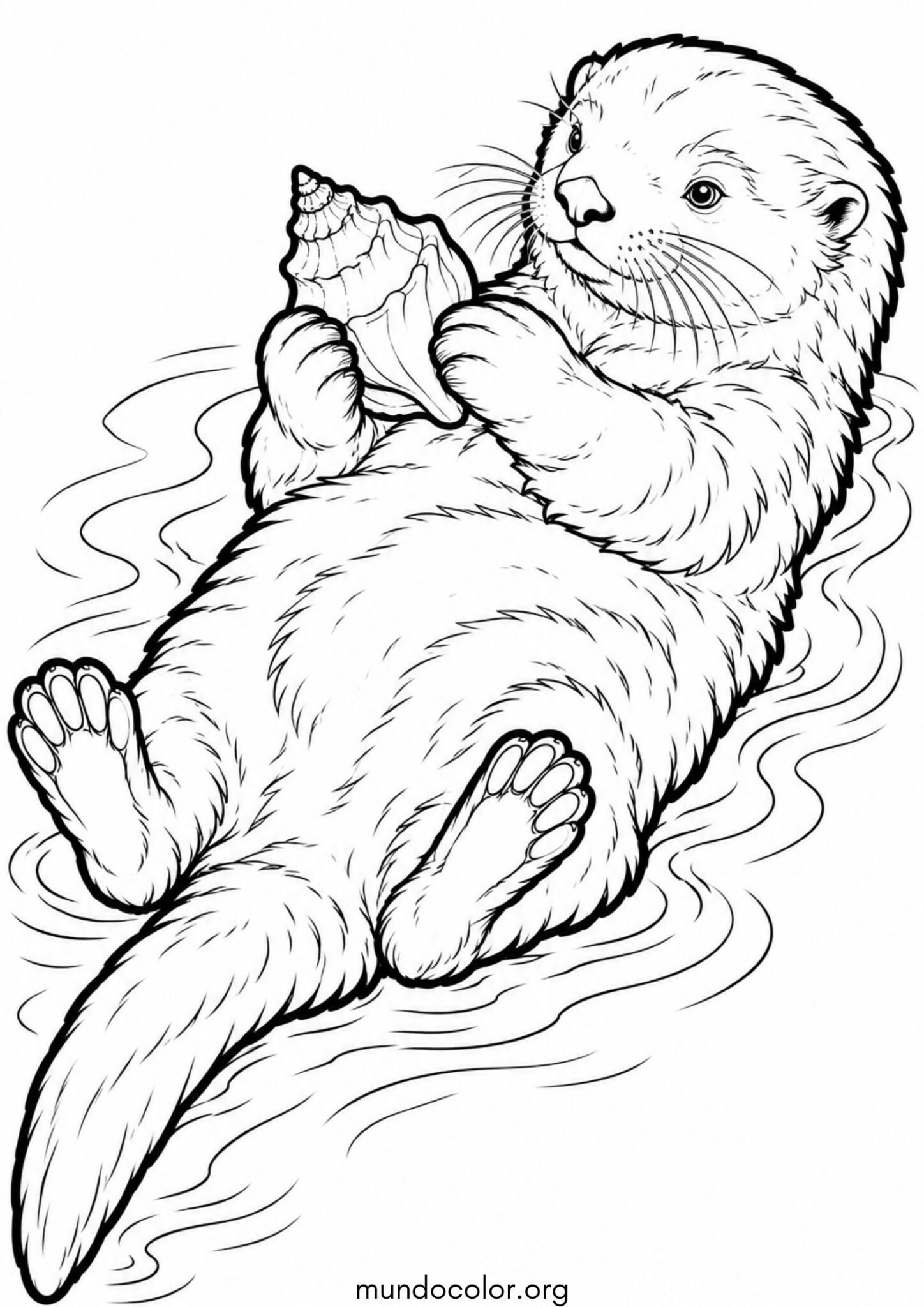 Dibujo de Nutria con una caracola de mar en las patas para colorear