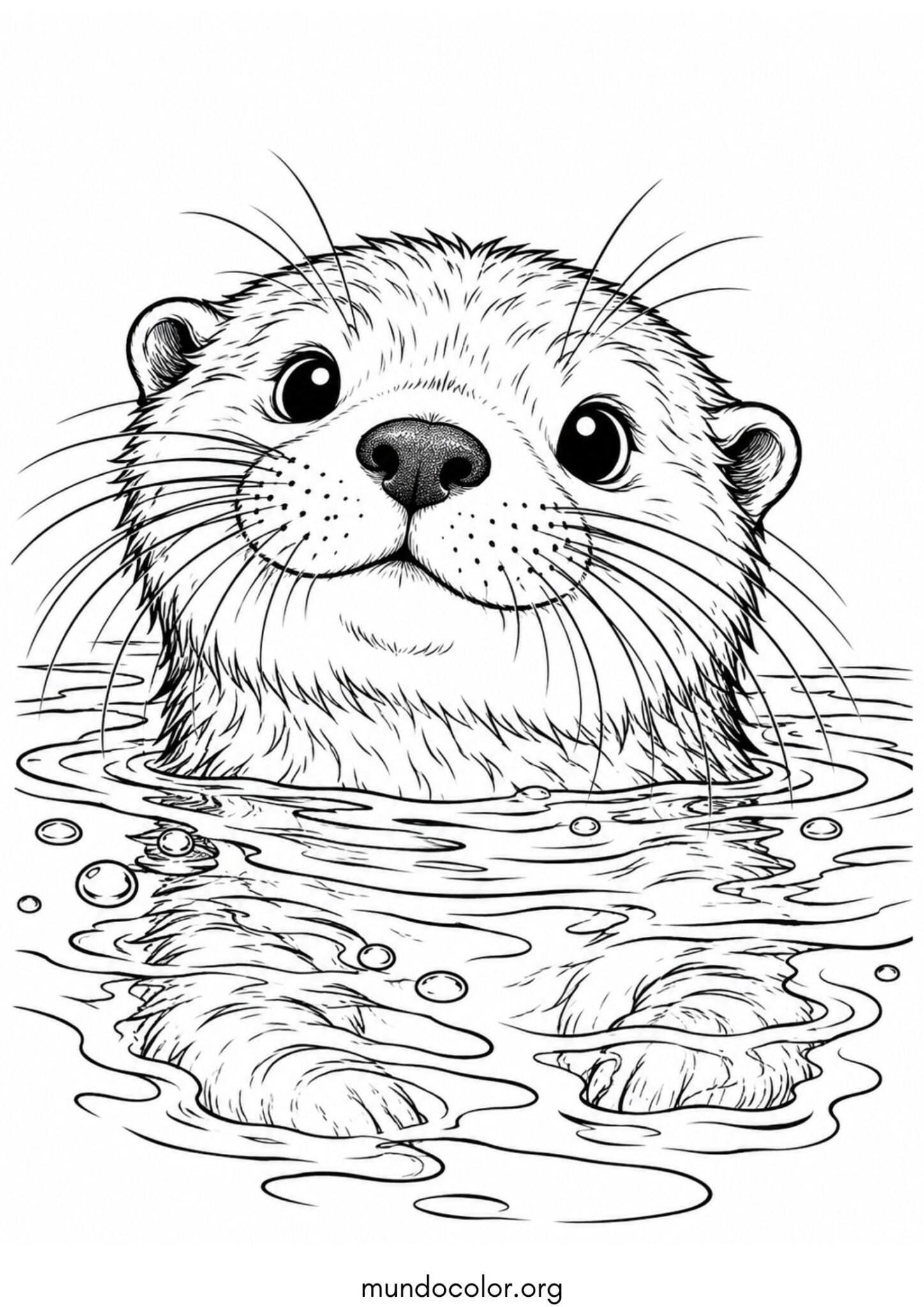 Nutria curiosa asomando la cabeza y los bigotes fuera del agua cristalina para imprimir y pintar Dibujo de Nutria curiosa asomando la cabeza y los bigotes fuera del agua cristalina para colorear