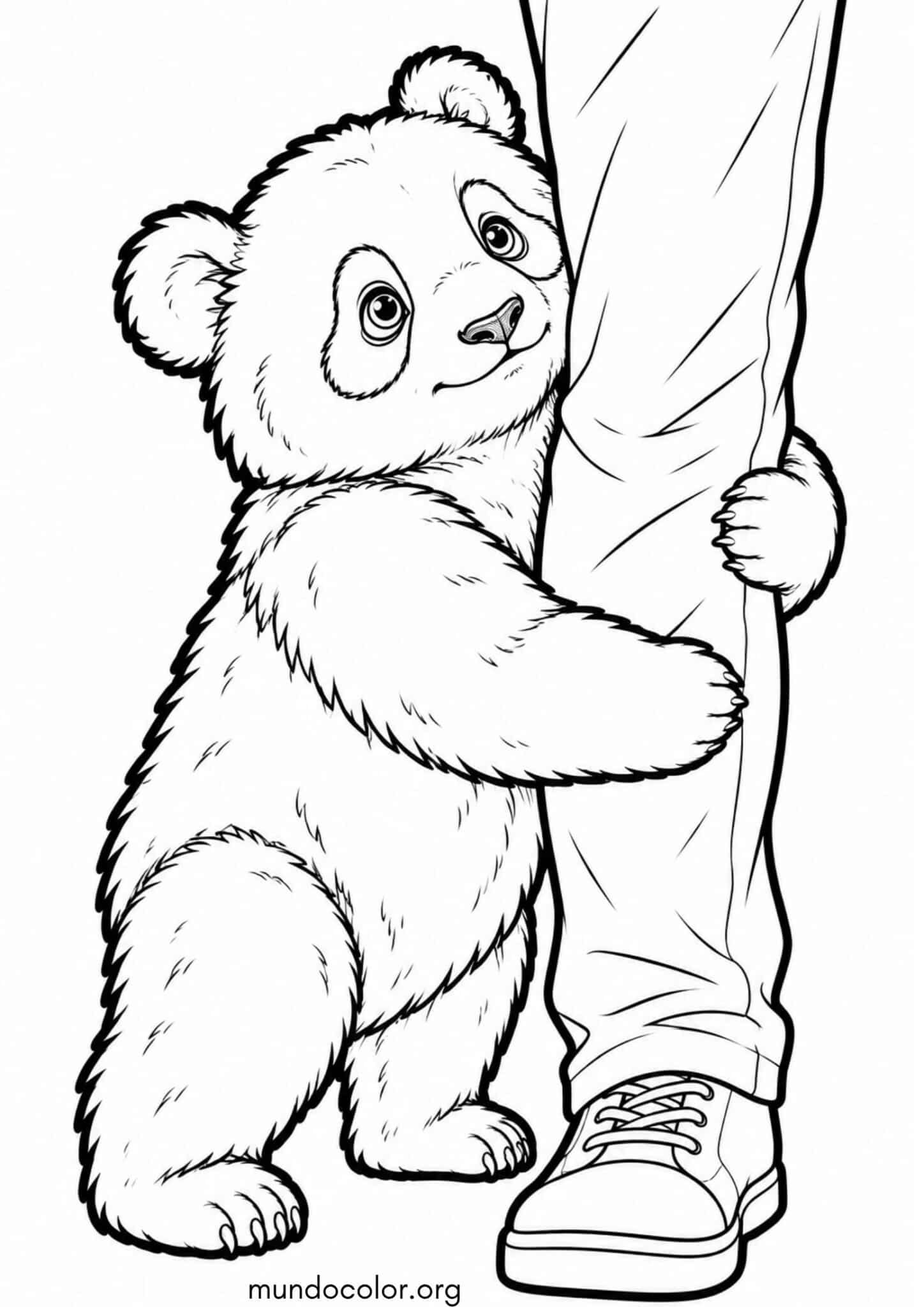 Dibujo de Panda abrazando la pierna de una persona para colorear