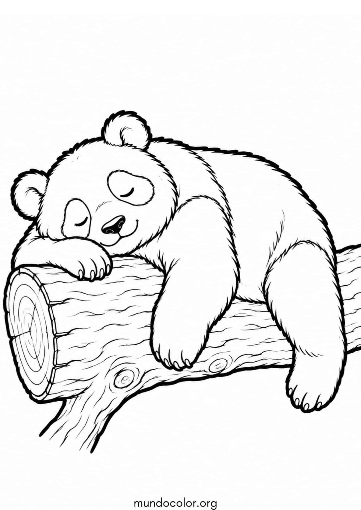 Dibujo de Panda durmiendo en un tronco para colorear