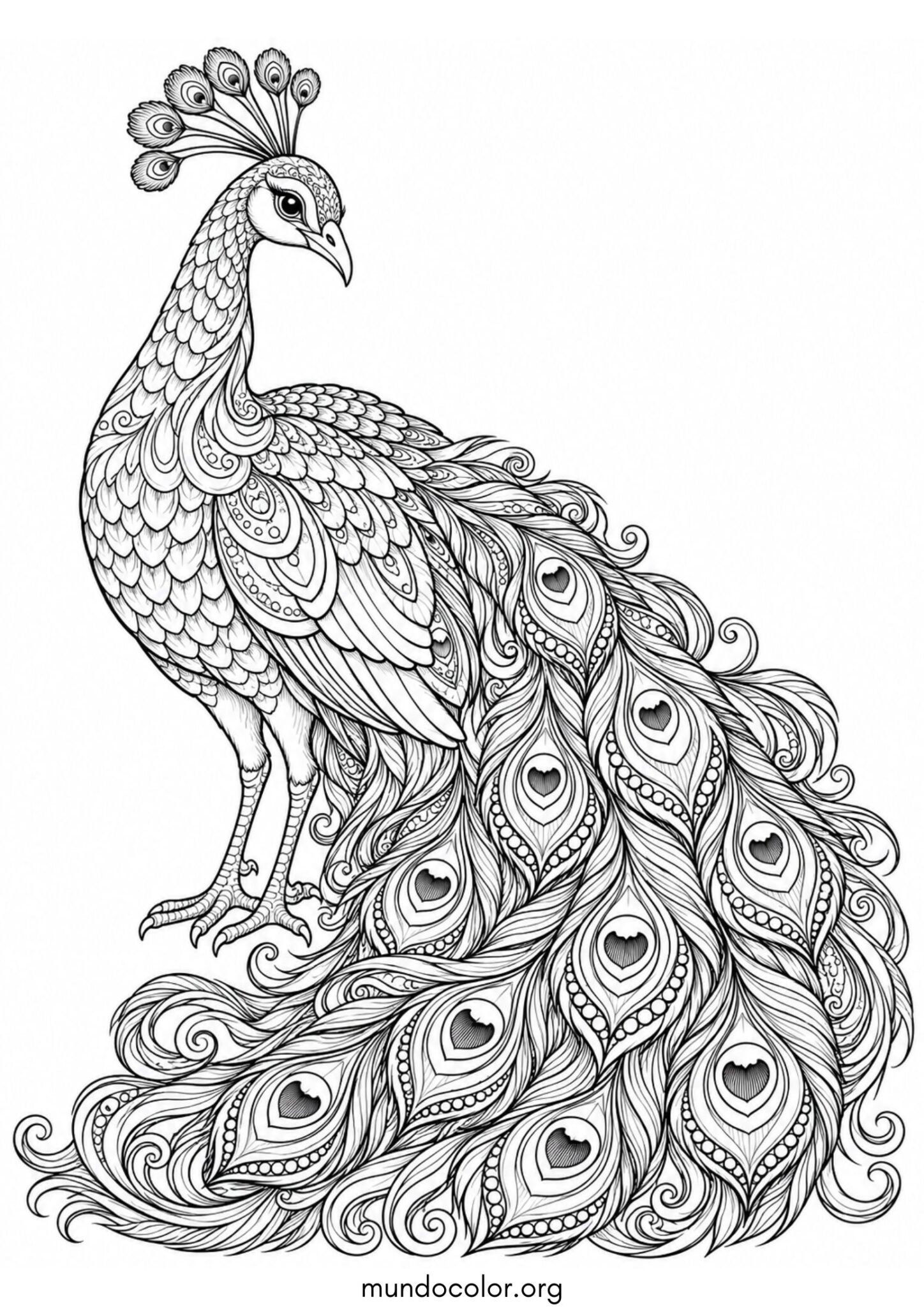Dibujo de Pavo real detallado estilo zentangle para colorear