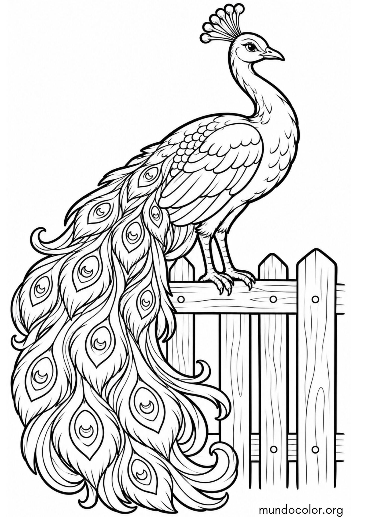 Dibujo de Pavo real en una valla de madera para imprimir Dibujo de Pavo real en una valla de madera para colorear