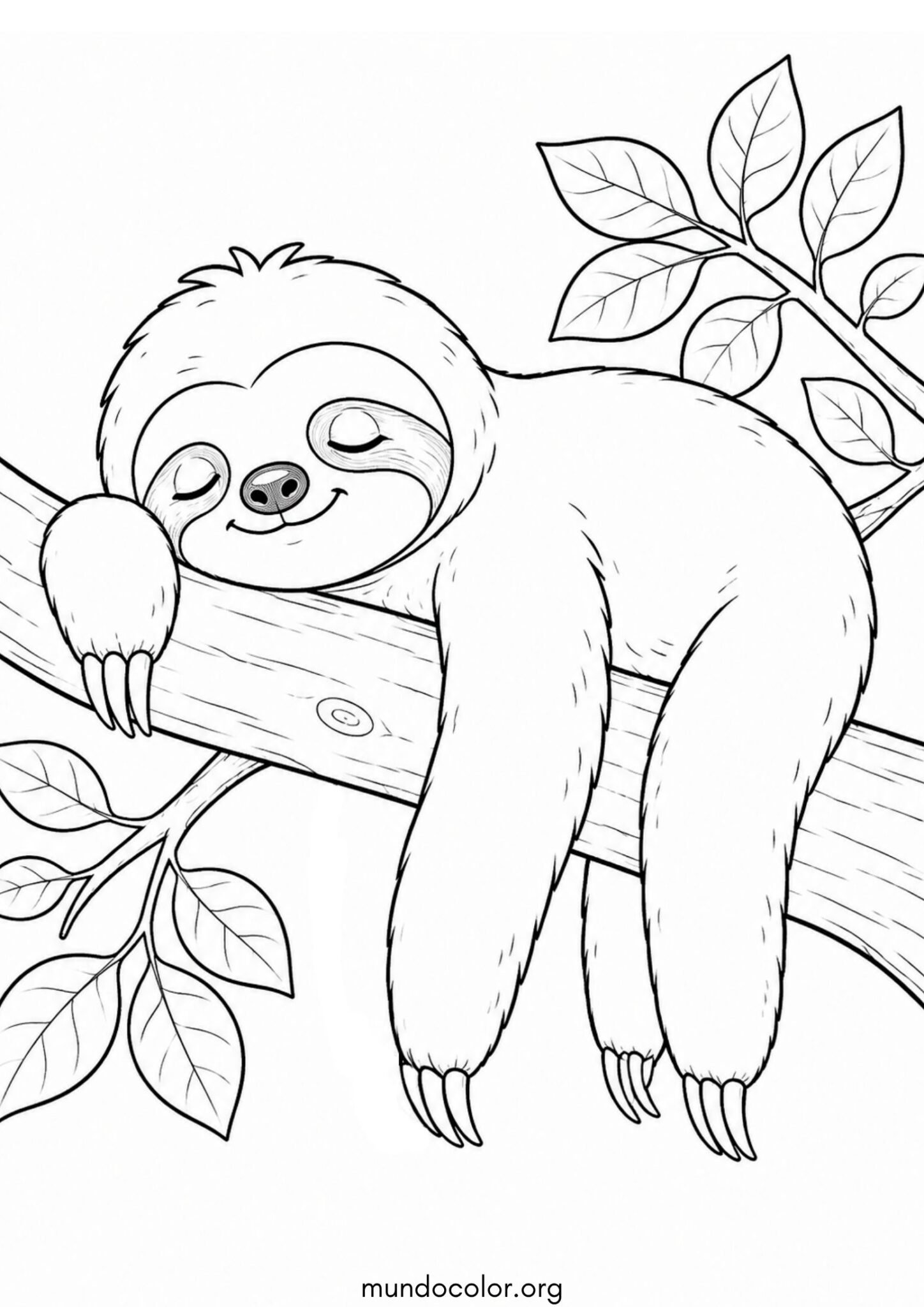Dibujo de Perezoso durmiendo una siesta sobre una rama de árbol para colorear