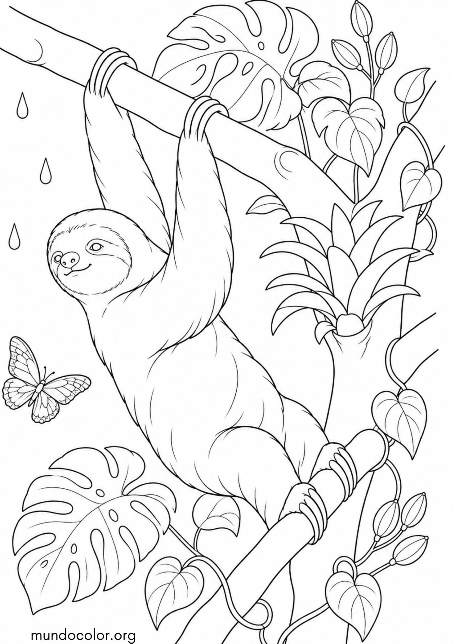 Dibujo de Perezoso en el árbol en la selva para colorear