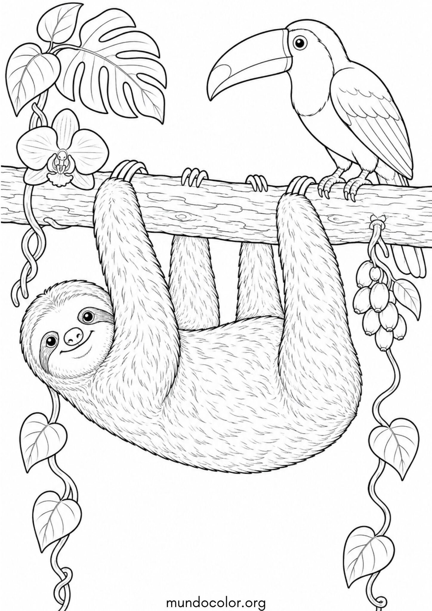 Dibujo de Un perezoso en un bosque tropical junto a un tucán para imprimir Dibujo de Un perezoso en un bosque tropical junto a un tucán para colorear